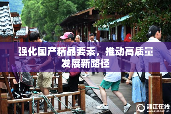 强化国产精品要素，推动高质量发展新路径