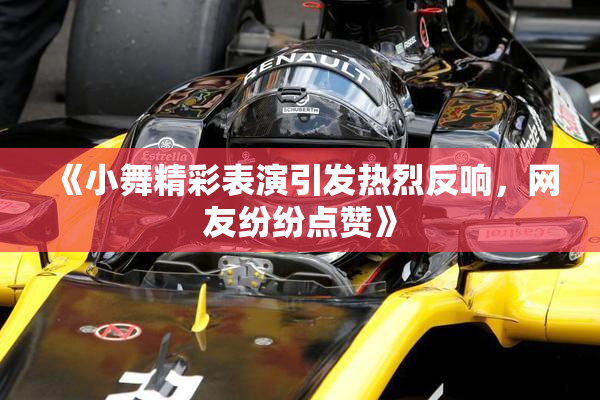 《小舞精彩表演引发热烈反响，网友纷纷点赞》
