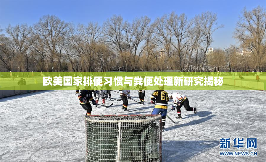 欧美国家排便习惯与粪便处理新研究揭秘