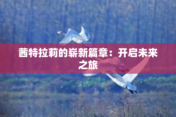 茜特拉莉的崭新篇章：开启未来之旅