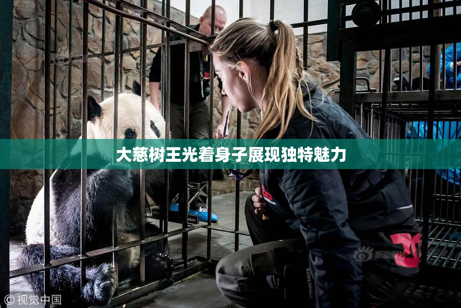 大慈树王光着身子展现独特魅力