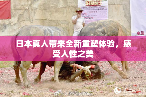日本真人带来全新重塑体验，感受人性之美