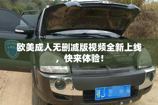 欧美成人无删减版视频全新上线，快来体验！