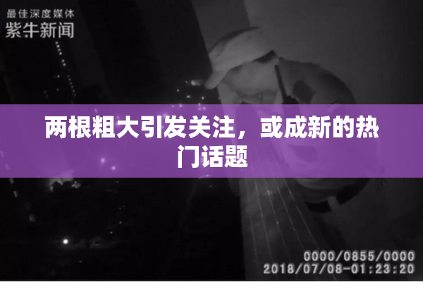 两根粗大引发关注，或成新的热门话题