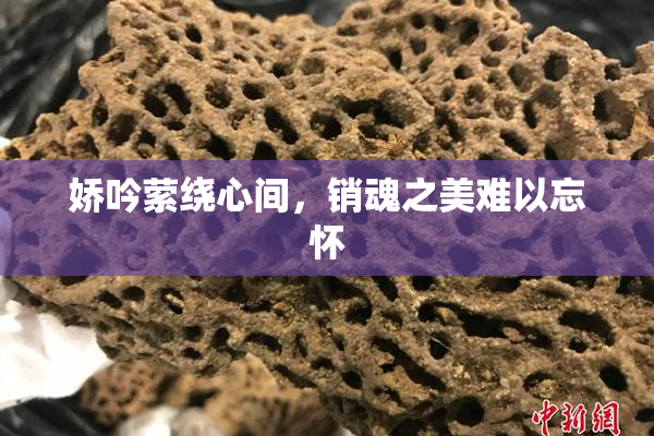 娇吟萦绕心间，销魂之美难以忘怀