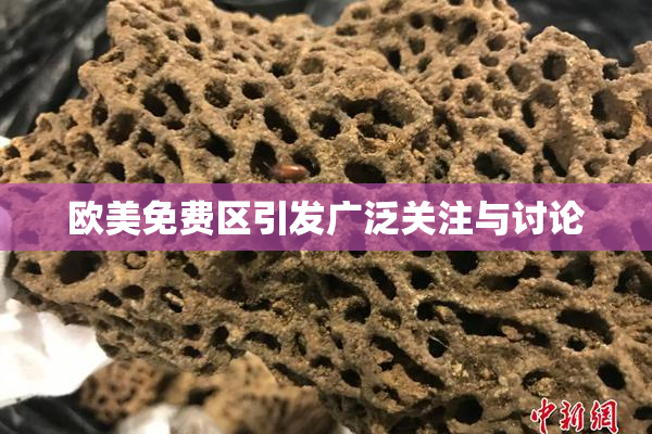 欧美免费区引发广泛关注与讨论