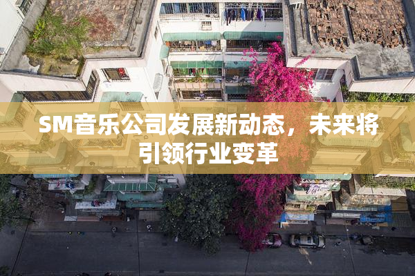 SM音乐公司发展新动态，未来将引领行业变革