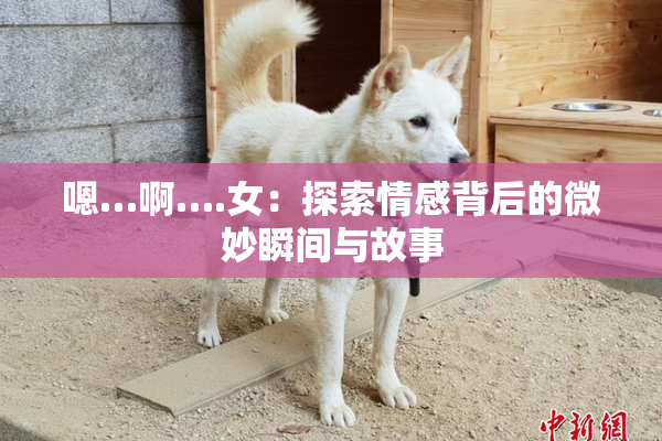 嗯…啊….女：探索情感背后的微妙瞬间与故事