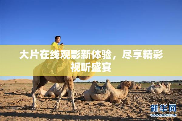大片在线观影新体验，尽享精彩视听盛宴