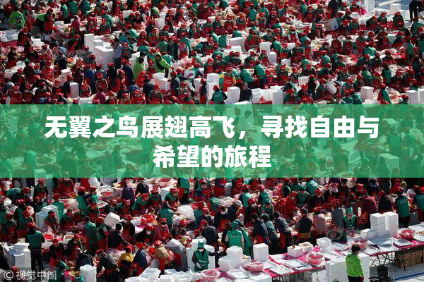 无翼之鸟展翅高飞，寻找自由与希望的旅程