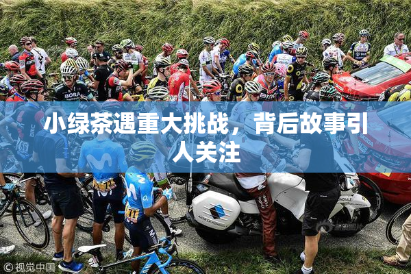 小绿茶遇重大挑战，背后故事引人关注