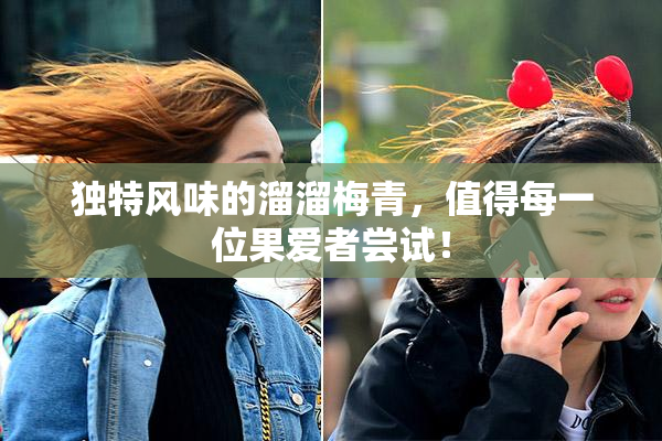 独特风味的溜溜梅青，值得每一位果爱者尝试！
