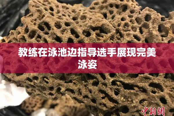 教练在泳池边指导选手展现完美泳姿