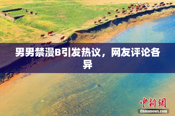 男男禁漫B引发热议，网友评论各异