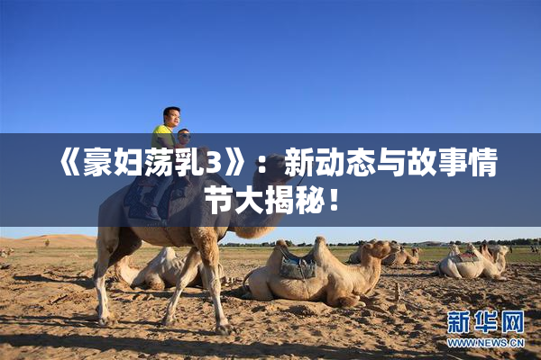 《豪妇荡乳3》：新动态与故事情节大揭秘！
