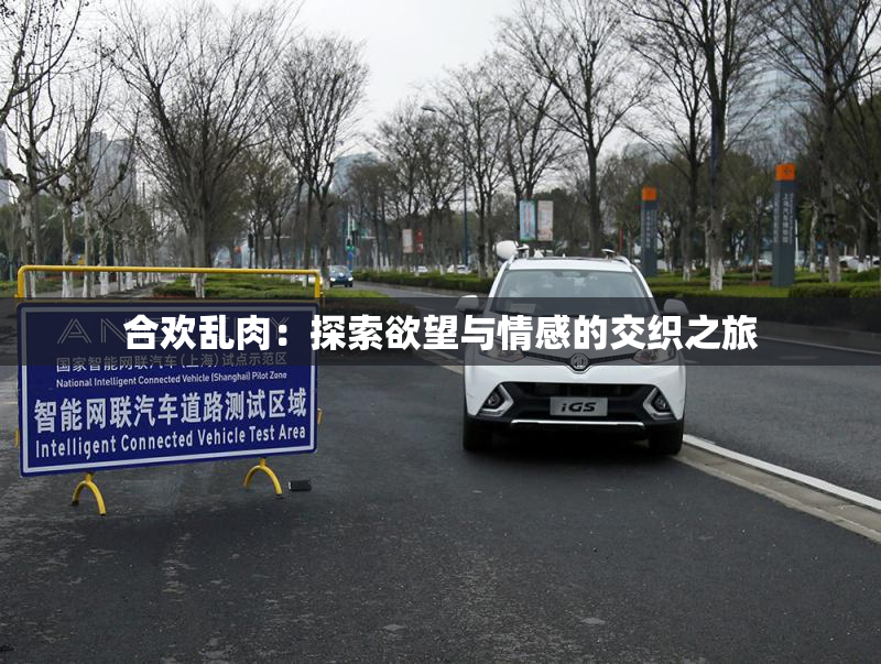 合欢乱肉：探索欲望与情感的交织之旅