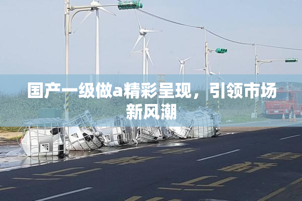 国产一级做a精彩呈现，引领市场新风潮