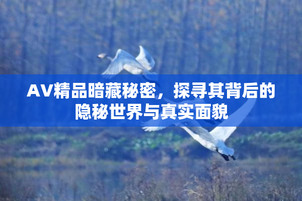 AV精品暗藏秘密，探寻其背后的隐秘世界与真实面貌