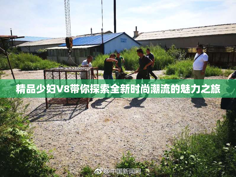 精品少妇V8带你探索全新时尚潮流的魅力之旅