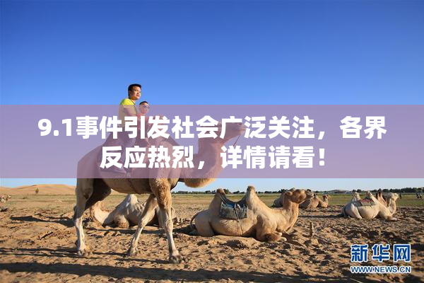 9.1事件引发社会广泛关注，各界反应热烈，详情请看！