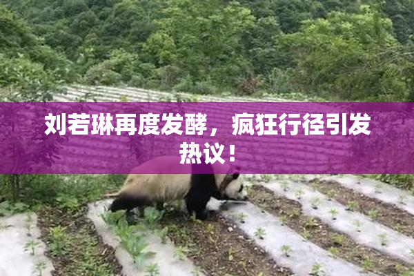 刘若琳再度发酵，疯狂行径引发热议！