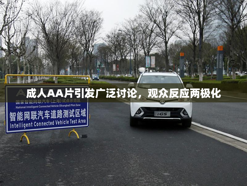 成人AA片引发广泛讨论，观众反应两极化