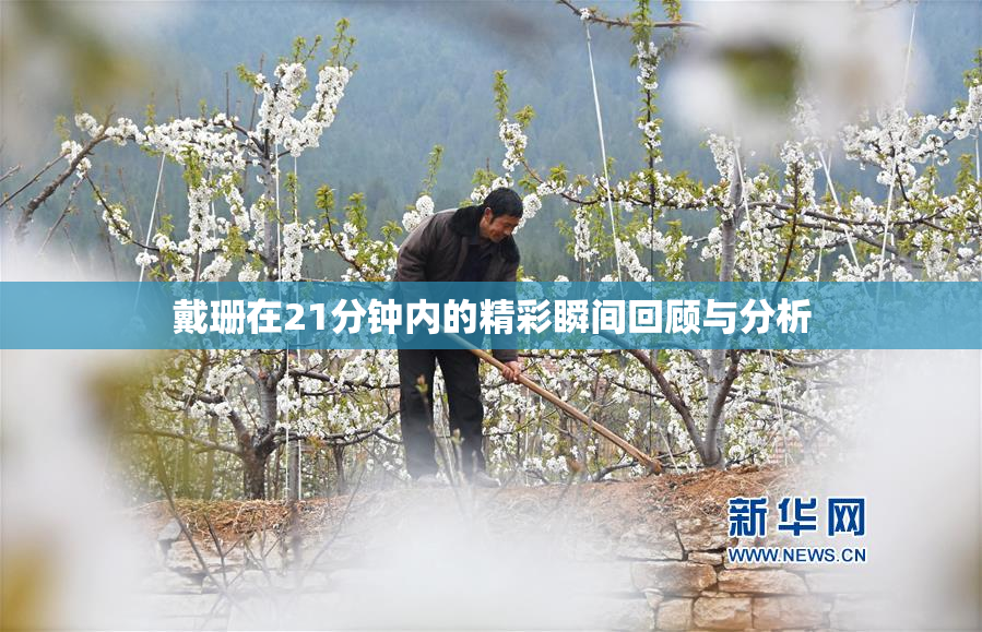 戴珊在21分钟内的精彩瞬间回顾与分析