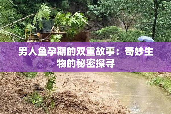 男人鱼孕期的双重故事：奇妙生物的秘密探寻