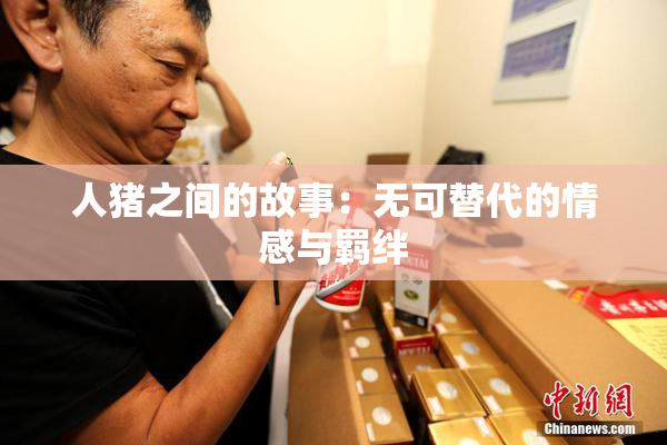 人猪之间的故事：无可替代的情感与羁绊