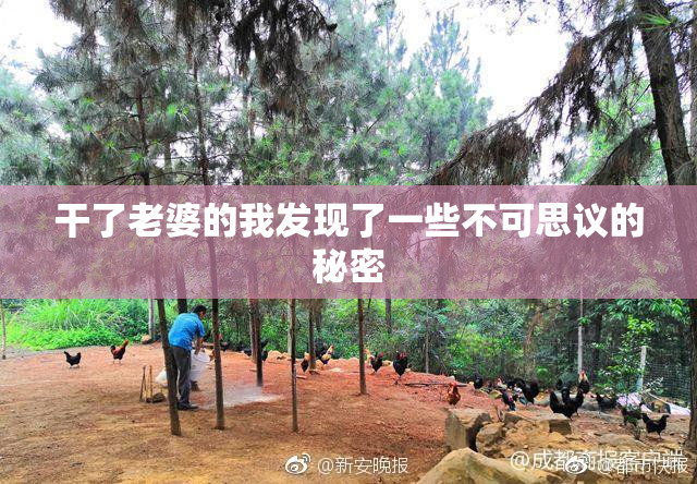 干了老婆的我发现了一些不可思议的秘密