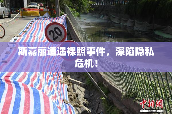 斯嘉丽遭遇裸照事件，深陷隐私危机！