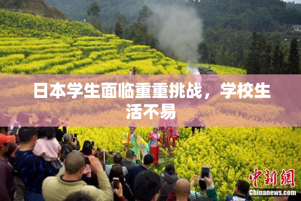 日本学生面临重重挑战，学校生活不易