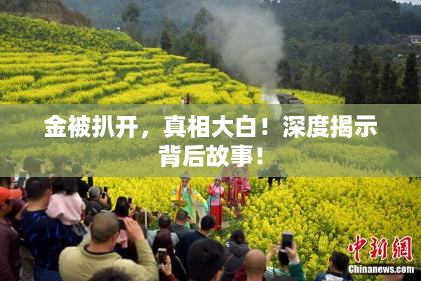 金被扒开，真相大白！深度揭示背后故事！
