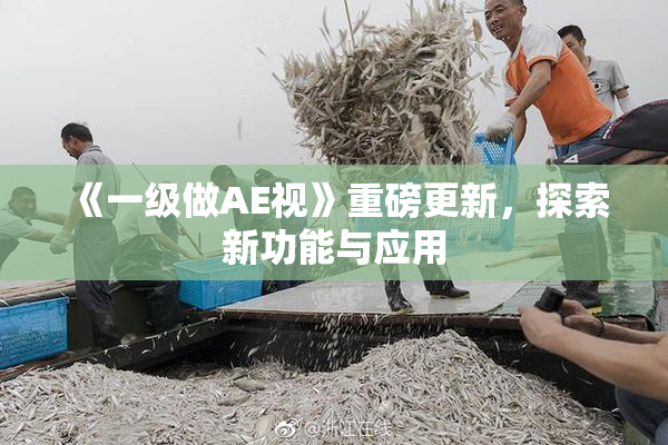 《一级做AE视》重磅更新，探索新功能与应用