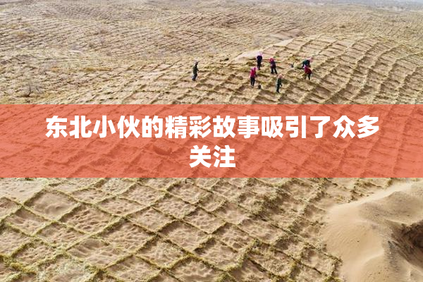 东北小伙的精彩故事吸引了众多关注
