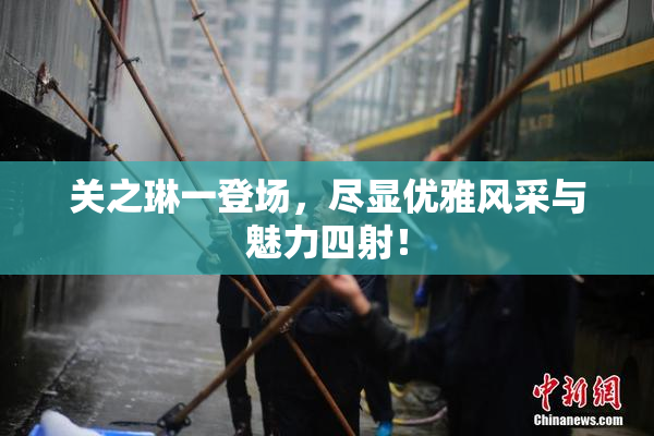 关之琳一登场，尽显优雅风采与魅力四射！