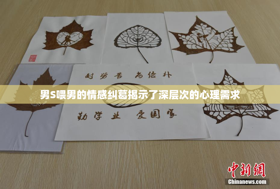 男S喂男的情感纠葛揭示了深层次的心理需求