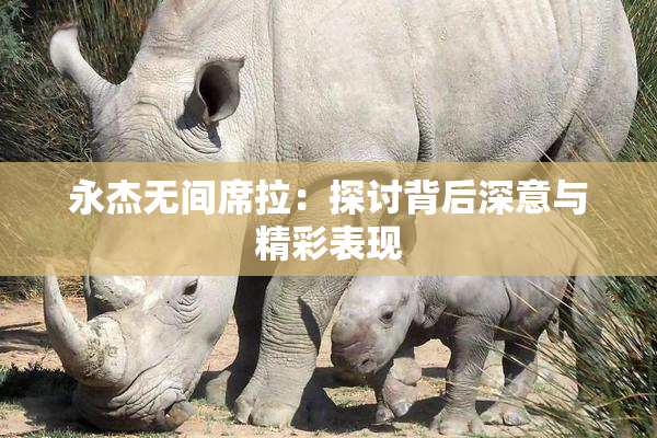 永杰无间席拉：探讨背后深意与精彩表现