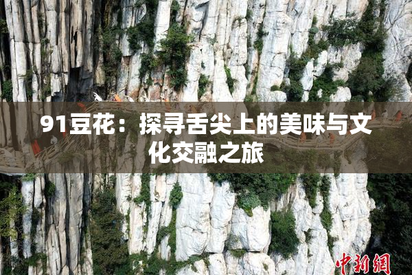 91豆花：探寻舌尖上的美味与文化交融之旅