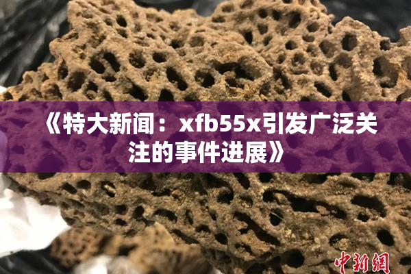 《特大新闻：xfb55x引发广泛关注的事件进展》