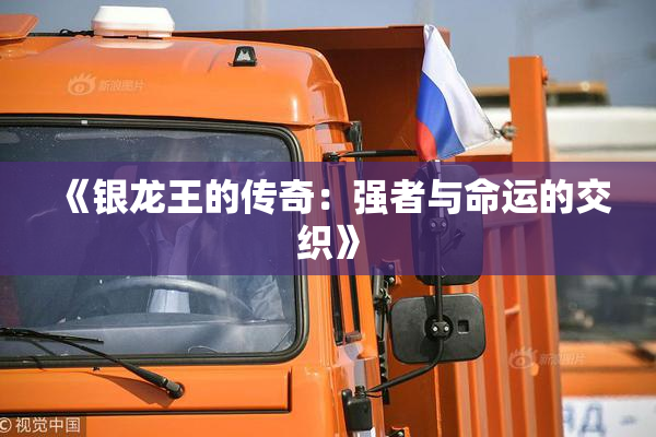 《银龙王的传奇：强者与命运的交织》