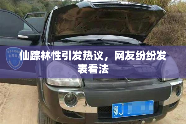 仙踪林性引发热议，网友纷纷发表看法