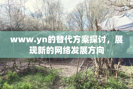 www.yn的替代方案探讨，展现新的网络发展方向