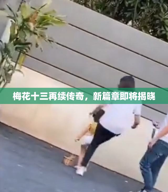 梅花十三再续传奇，新篇章即将揭晓