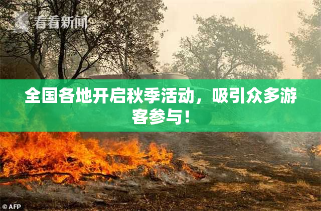 全国各地开启秋季活动，吸引众多游客参与！