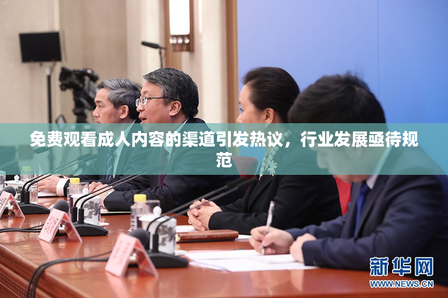 免费观看成人内容的渠道引发热议，行业发展亟待规范