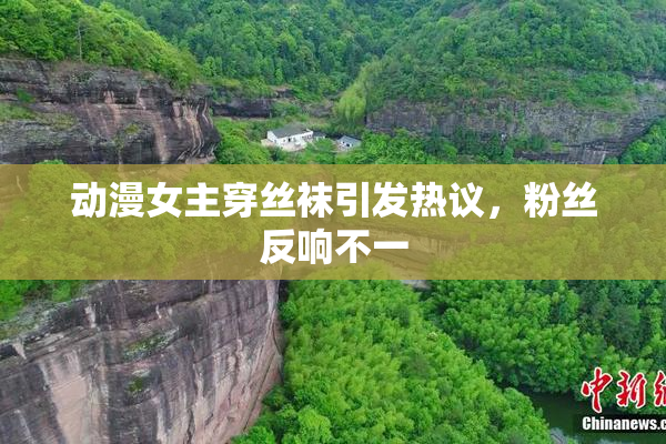 动漫女主穿丝袜引发热议，粉丝反响不一
