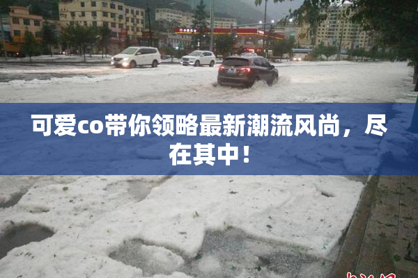 可爱co带你领略最新潮流风尚，尽在其中！
