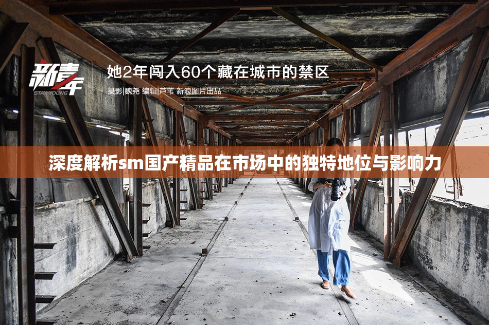深度解析sm国产精品在市场中的独特地位与影响力