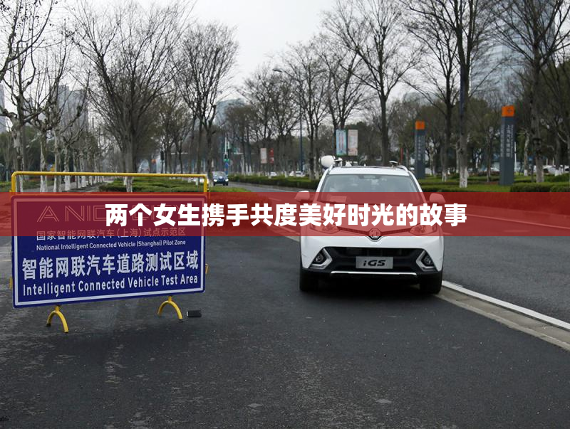 两个女生携手共度美好时光的故事